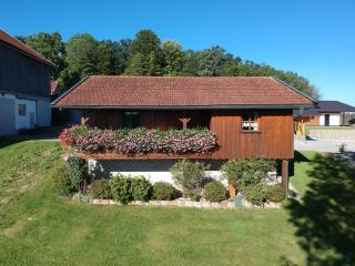 Ferienhaus Breit - Eppenschlag - 8