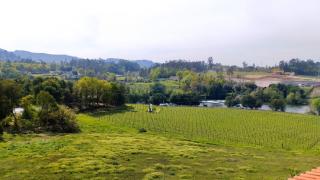 Quinta do Burgo - Nature Hotel - Amares - 7