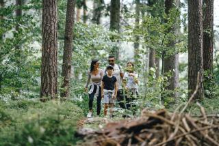 Czarny Kamień Resort & SPA - Szklarska Poręba - 4