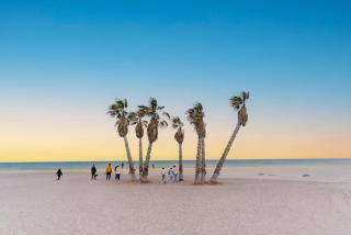 Canet Seaview Gem: Pool & Beach Proximity - Canet d'En Berenguer - 8