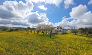 Trulli Carlo Anna - Locorotondo - 3