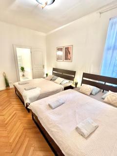 Apartment Mia - Old Town, AC - Bratislava - 8