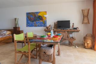 Luxurious Beach Front Apartment - Cul de Sac - 4