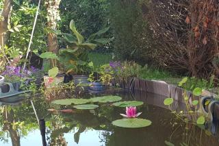 F3 avec salle de jeux, terrasse et grand jardin - Villevaudé - 6