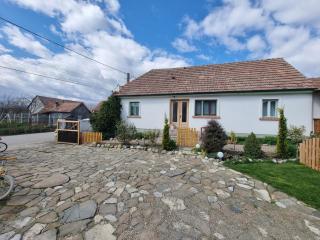 Guest House Victoria - Galda de Jos - 7