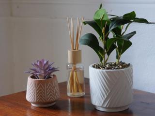 Hotel Mandacarú Puerto Viejo - 2