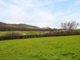 Sunny Cottage - Brecon - 9