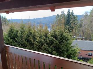 Lipno Pearl 3 - Lipno nad Vltavou - 2