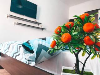 City Center Apartment - Chişinău - 6