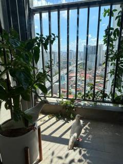 Căn hộ khách sạn cao cấp - 8