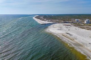 The Minty Pearl - Mexico Beach - 9