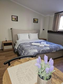 Vila TAFA Apartments - Tirana - 8