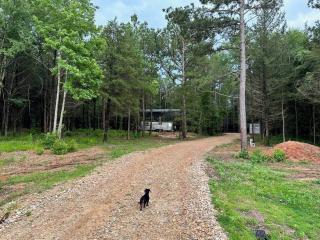Mid-century Modern Marvel - Airstream - IntroPrice - Mount Vernon - 4