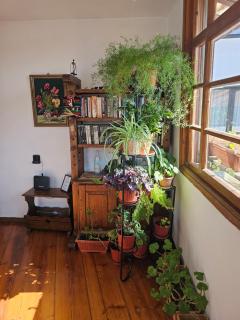 Guest House GURKO 7, 2BR, Top Center, Free Parking - Veliko Tarnovo - 6