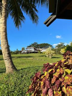 Green Fiji Plantation Villa in Taveuni - - 5