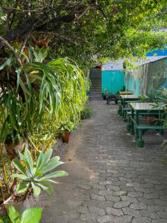 Onça da Praia Hostel - Vitória - 2