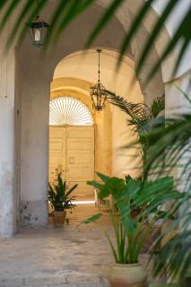 Palazzo Rizzo - Spongano - 8