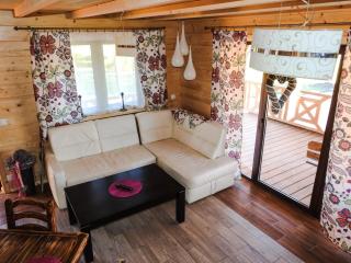 Domki cało roczne z własnym stawem nad jeziorem - 5