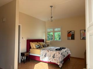 Villa Elise Jolie Maison , Piscine, WiFi, pour 7 personnes - Ducos - 1