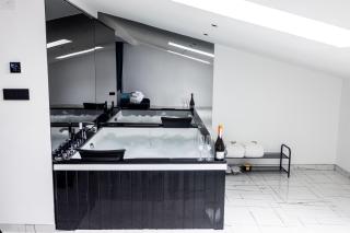 Luxury nest apartment - Zemun - 9