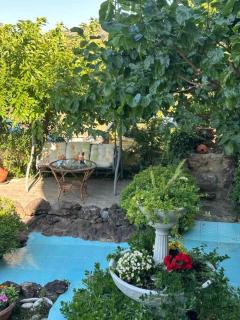 Theros Seaside House - Volos - Marathos - 5