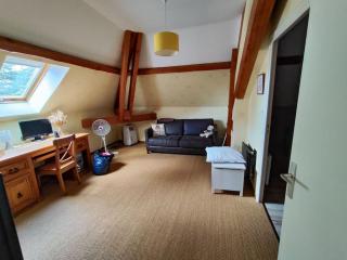Maison 240+65m2, piscine, spa, sauna, salle sport - Saint-Just-Saint-Rambert - 3