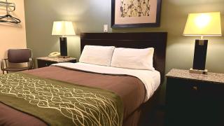 Lacombe Motor Inn - 5