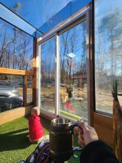 The Dome house near Hunter and Hudson - 2