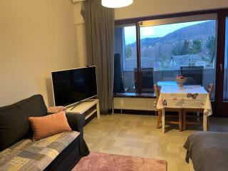 Ferienwohnung Bad Harzburg - Bad Harzburg - 2