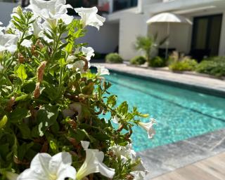 Kallithea love paradise pool & garden - Kallithea Halkidikis - 7