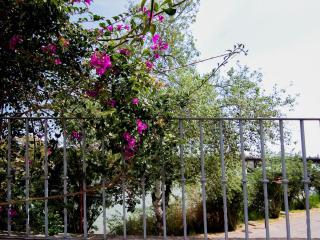 MonKeys Apartments Castilla Triana - Seville - 4