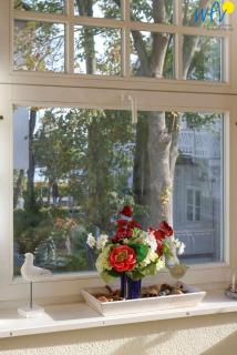 Villa Drei Rosen Ferienwohnung 2 - Binz - 4