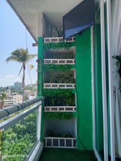Departamento aloha - Acapulco - 9