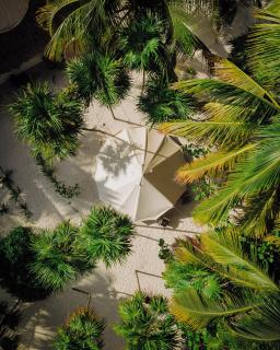 Hotel Cielo y Selva - Punta Allen - 9