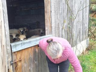 Grange rénovée avec jardin en Auvergne, animaux admis - FR-1-496-119 - 7