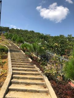 Doi Hoa Do Homestay - 1