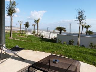 Appartement 2 ch, accès plage direct, rez-de-jardin, piscine, animaux OK - FR-1-194-284 - 1