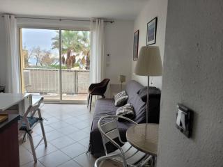 Magnifique F2 Mezzanine avec terrasses et parking à Palavas - FR-1-559-32 - Palavas-les-Flots - 9