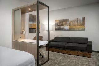 SpringHill Suites by Marriott Birmingham Gardendale - Gardendale - 4