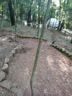 Glamping Don Delfis - Valle de Bravo - 8