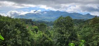 WAYANAD PEEK - Vythiri - 8
