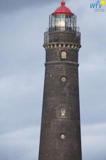 Haus Oberlin Ferienwohnung 8 - Borkum - 6