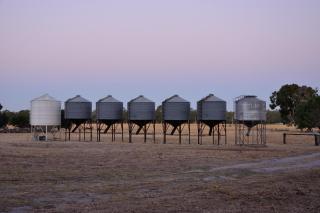 DONN4254S2 - Wilga Farm Stay - Shearer's Shack Camping - double - Boyup Brook - 8