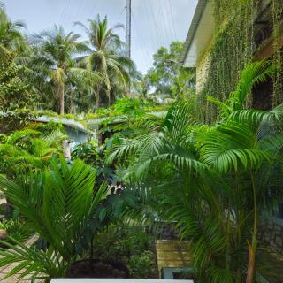 Homestay Bến Tre - 3