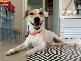 Phangan Hometown Resort - Adults Only - 2