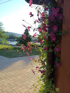 Penzion U Vody - Horní Bečva - 3