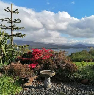 Valhalla BnB - Kenmare - 4