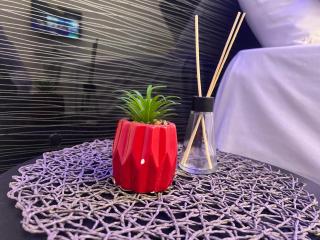 40 40 Accommodation - 4