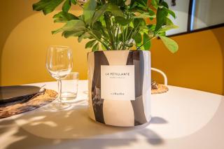 Château de Dracy - La Pétillante - 3