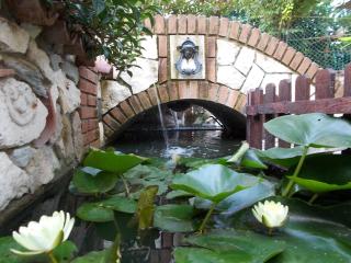 B&B Il Giardino Acquatico - Coppito - 4